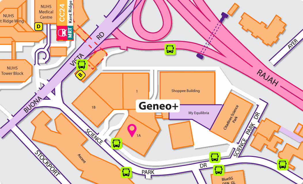 direction to Geneo+